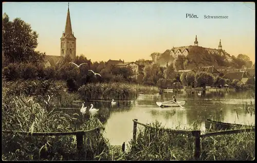 Ansichtskarte Plön Partie am Schwanensee 1913