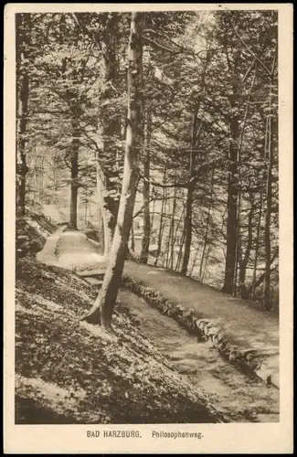 Ansichtskarte Bad Harzburg Philosophenweg 1917