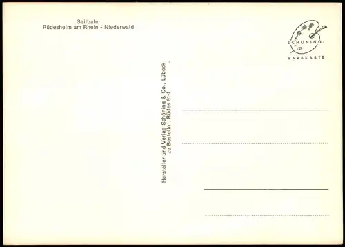Ansichtskarte Rüdesheim (Rhein) Seilbahn Panorama-Ansicht 1960