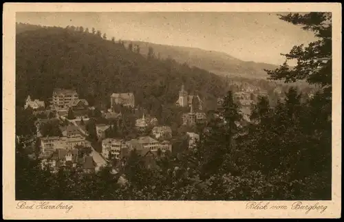 Ansichtskarte Bad Harzburg Blick vom Burgberg 1924