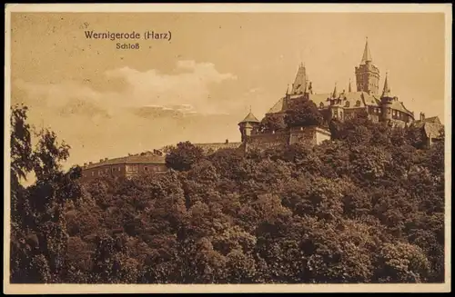 Ansichtskarte Wernigerode Schloss/Feudalmuseum 1925