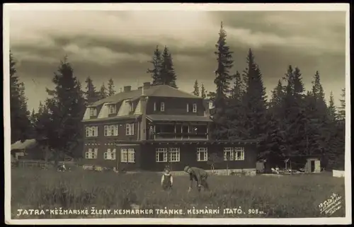 Tatralomnitz-Vysoké Tatry  Kesmarker Tränke 1940  gel. MF SBZ Briefmarken 1950