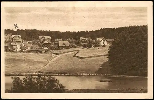 Ansichtskarte Braunlage Panorama-Ansicht, Villen a.d. Rollin 1919