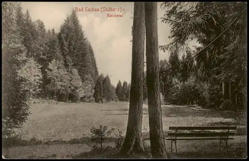 Ansichtskarte Bad Sachsa Katzental im Südharz 1910