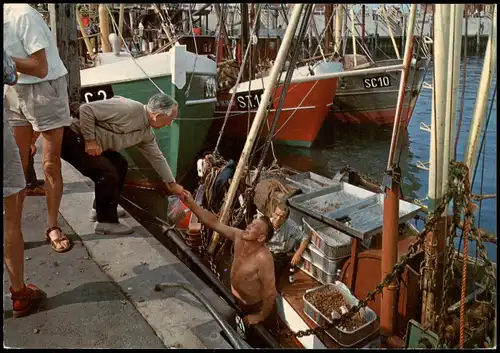 Ansichtskarte  Fischerboot/Kutter Krabben Verkauf vermtl. Nordsee 1970