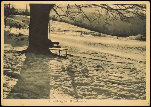 Ansichtskarte Wernigerode Im Salzberg bei Wernigerode 1940