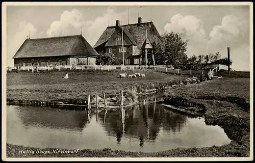 Ansichtskarte Hallig Hooge Hallig Hooge, Kirchwarf 1940