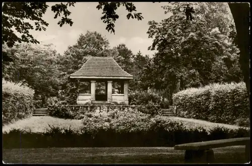 Ansichtskarte Senftenberg (Niederlausitz) Idyll im Stadtpark Stadt-Park 1967