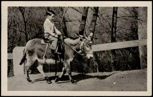 Ansichtskarte Eisenach Wartburg, Junge auf Esel 1952