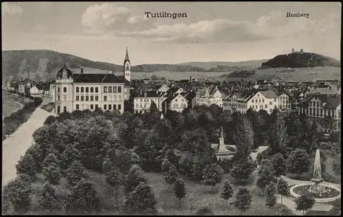 Ansichtskarte Tuttlingen Stadtpartie Homberg 1912