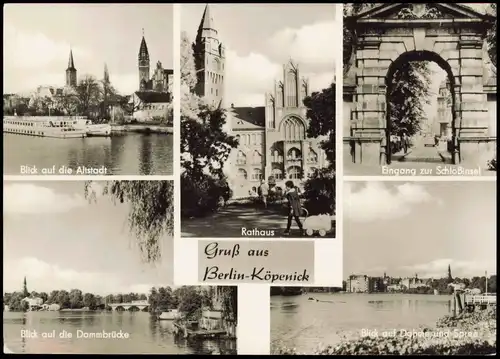 Ansichtskarte Köpenick-Berlin Mehrbildkarte DDR mit Stadtteilansichten 1966