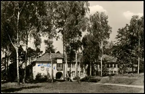 Joachimsthal (Barnim) Pionierrepublik Wilhelm Pieck Altenhof Werbellinsee 1965