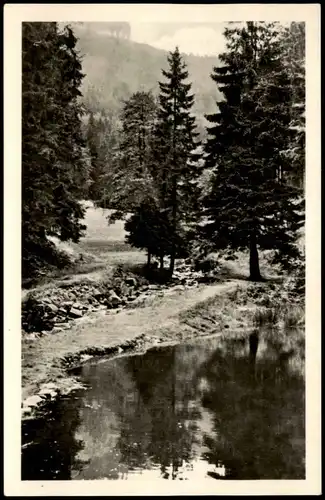 Ansichtskarte Mengersgereuth-Hämmern Umlandpartie 1953