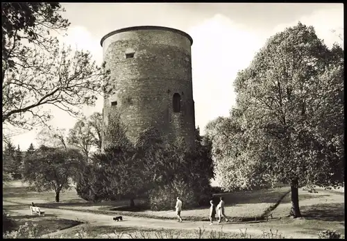 Ansichtskarte Salzwedel Burg Burggarten 1975