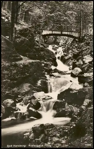 Ansichtskarte Bad Harzburg Riefenbach Fälle - Wasserfälle, Fotokarte 1928