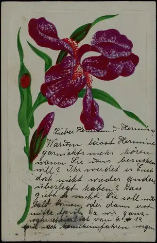 Künstlerkarten - handgefertigt Botanik :: Blumen Orchide 1905 Prägekarte