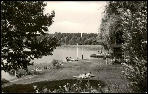 Ansichtskarte Zechlinerhütte/Mark-Rheinsberg Partie am Schlabornsee 1965