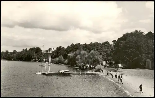Ansichtskarte Jessern Partie am Schwielochsee 1965