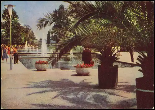 Erfurt Palmen an der Wasserachse, IGA Gartenbau-Ausstellung 1965