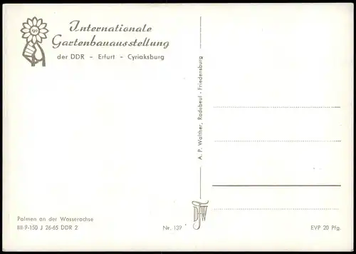 Erfurt Palmen an der Wasserachse, IGA Gartenbau-Ausstellung 1965