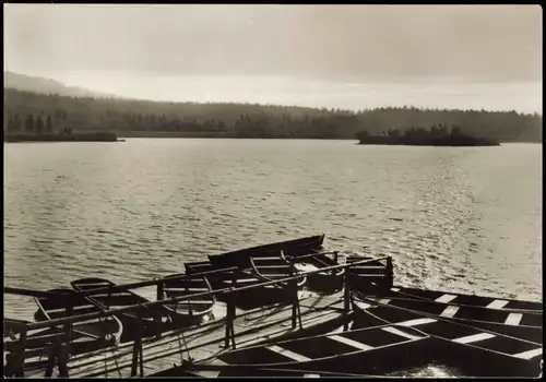 Ansichtskarte Altenberg (Erzgebirge) Galgenteich im Erzgebirge 1973