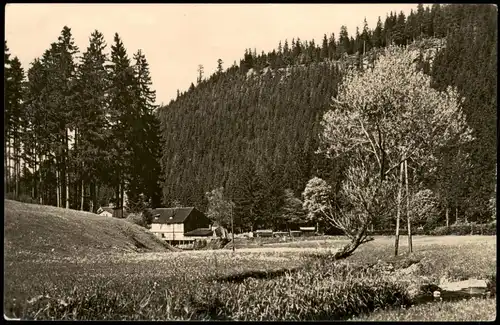 Finsterbergen-Friedrichroda Im Haintal Thüringer Wald Partie 1959