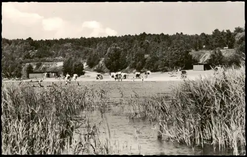 Ansichtskarte Groß Särchen-Lohsa Łaz Knappensee Badestrand 1964