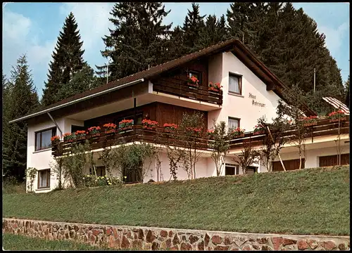 Ansichtskarte Häusern Partie am Haus Behringer 1980