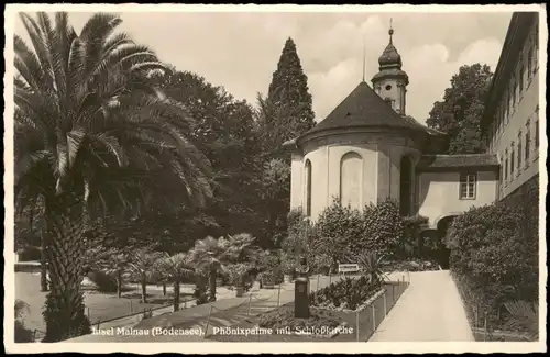Insel Mainau-Konstanz Insel Mainau Bodensee Phönixpalme mit Schloßkirche 1940