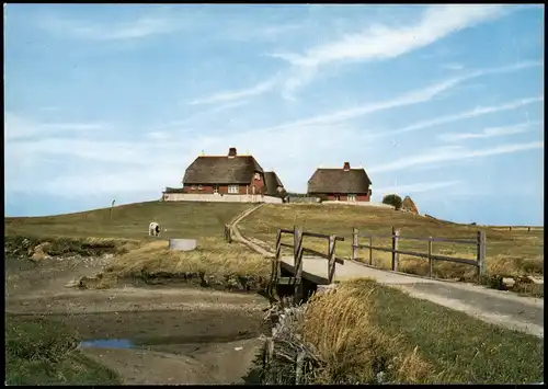 Ansichtskarte Hallig Hooge HALLIG HOOGE - Westerwarft 1975
