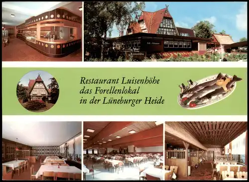 Walsrode Restaurant Luisenhöhe Forellenlokal Lüneburger Heide, Mehrbild-AK 1980