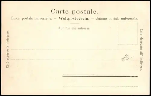 Gletsch Grimsel (Grimselpass) - Haus, Edelweiss 1912 Passepartout