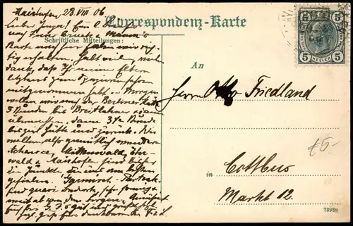Ansichtskarte Mayrhofen Stadtpartie 1906