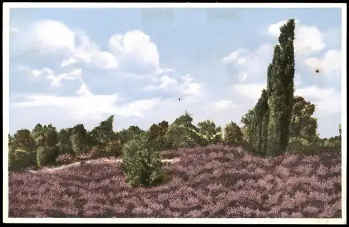 Ansichtskarte .Niedersachsen Lüneburger Heide, Blüte 1928