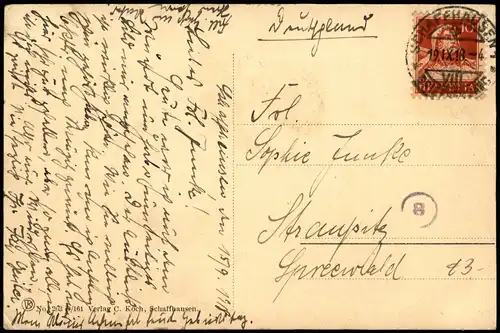 Ansichtskarte Schaffhausen Blick v. Munot rheinaufwärts. 1918