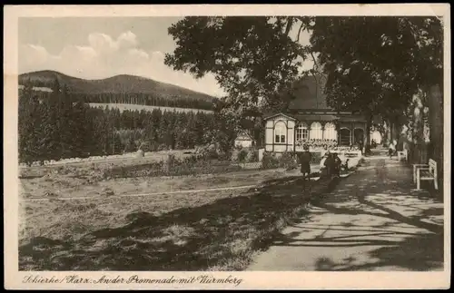 Ansichtskarte Schierke An der Promenade mit Wurmberg 1928