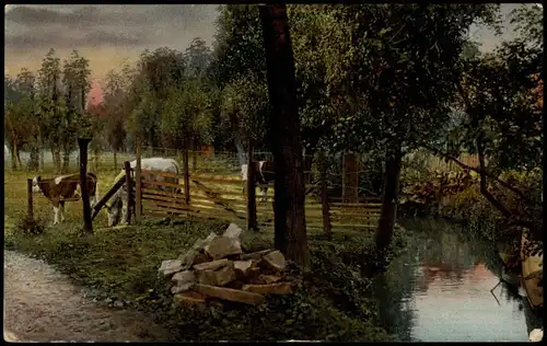 Ansichtskarte Tiere Kuh Kühe Rinder Weide am Fluß 1916  ge. Feldpoststempel