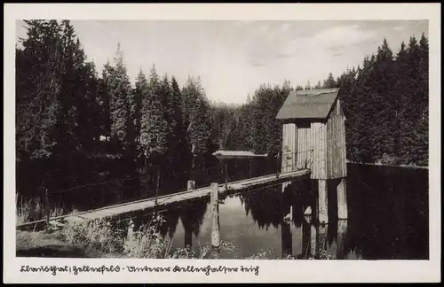 Ansichtskarte Altenau-Clausthal-Zellerfeld Steg und Häuschen im Teich 1934