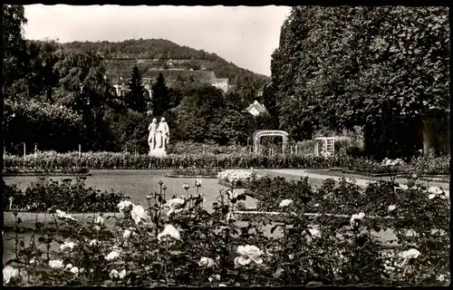 Ansichtskarte Bad Kissingen Rosengarten 1958