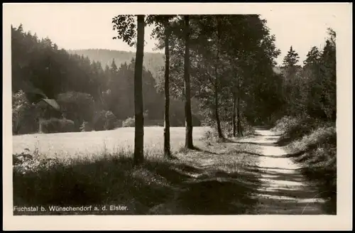 Ansichtskarte Wünschendorf (Elster) Fuchstal 1952
