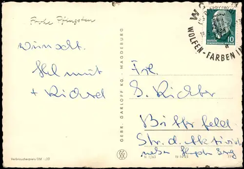 Ansichtskarte  Glückwunsch: Pfingsten, Stimmungsbild Schäfer, Schafe 1963