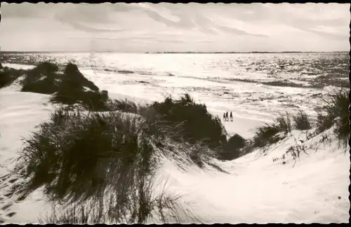Ansichtskarte Insel Sylt Dünen am Strand 1962