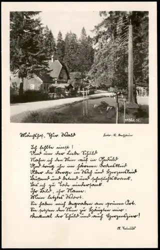 Ansichtskarte Elgersburg Mönchshof, Text 1955