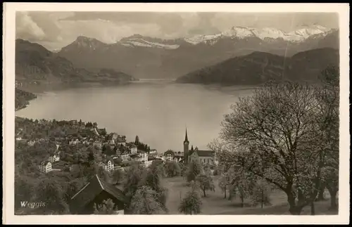 Ansichtskarte Weggis Panorama-Ansicht, Totalansicht 1930