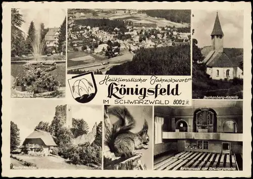 Königsfeld im Schwarzwald Ruine Waldau, Brüdergemeinde, Kurpark 1956