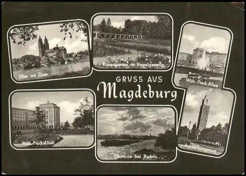 Ansichtskarte Magdeburg Mehrbildkarte mit div. Stadtteilansichten 1967