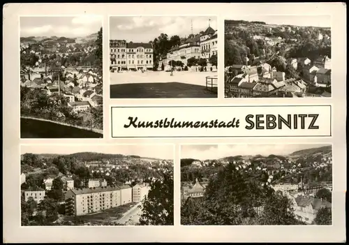 Ansichtskarte Sebnitz DDR Mehrbild-AK der Kunstblumenstadt SEBNITZ 1964