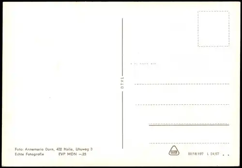 .Mecklenburg-Vorpommern Halbinsel Darß Ostsee DDR Mehrbildkarte 1967