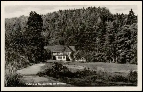 Ansichtskarte Eisenberg (Thüringen) Froschmühle 1954