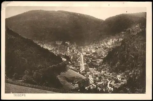 Ansichtskarte Triberg im Schwarzwald Panorama-Gesamtansicht 1920